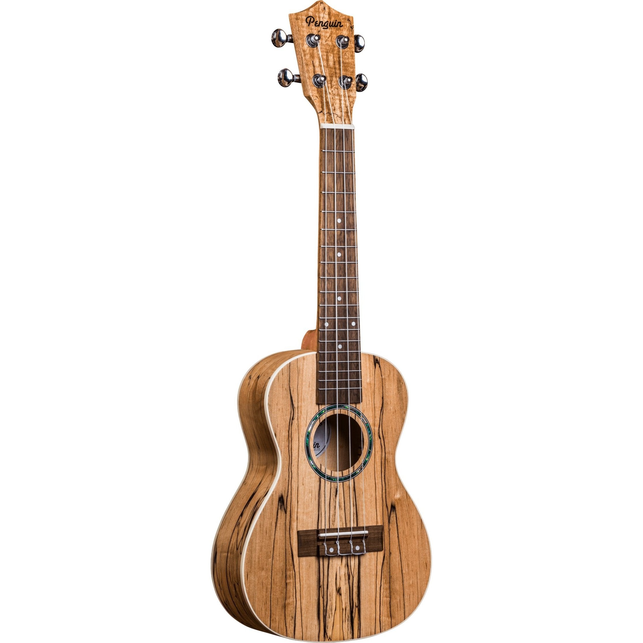 Amahi UK770C Concert Ukulele in Spalted Maple - Free Gig Bag