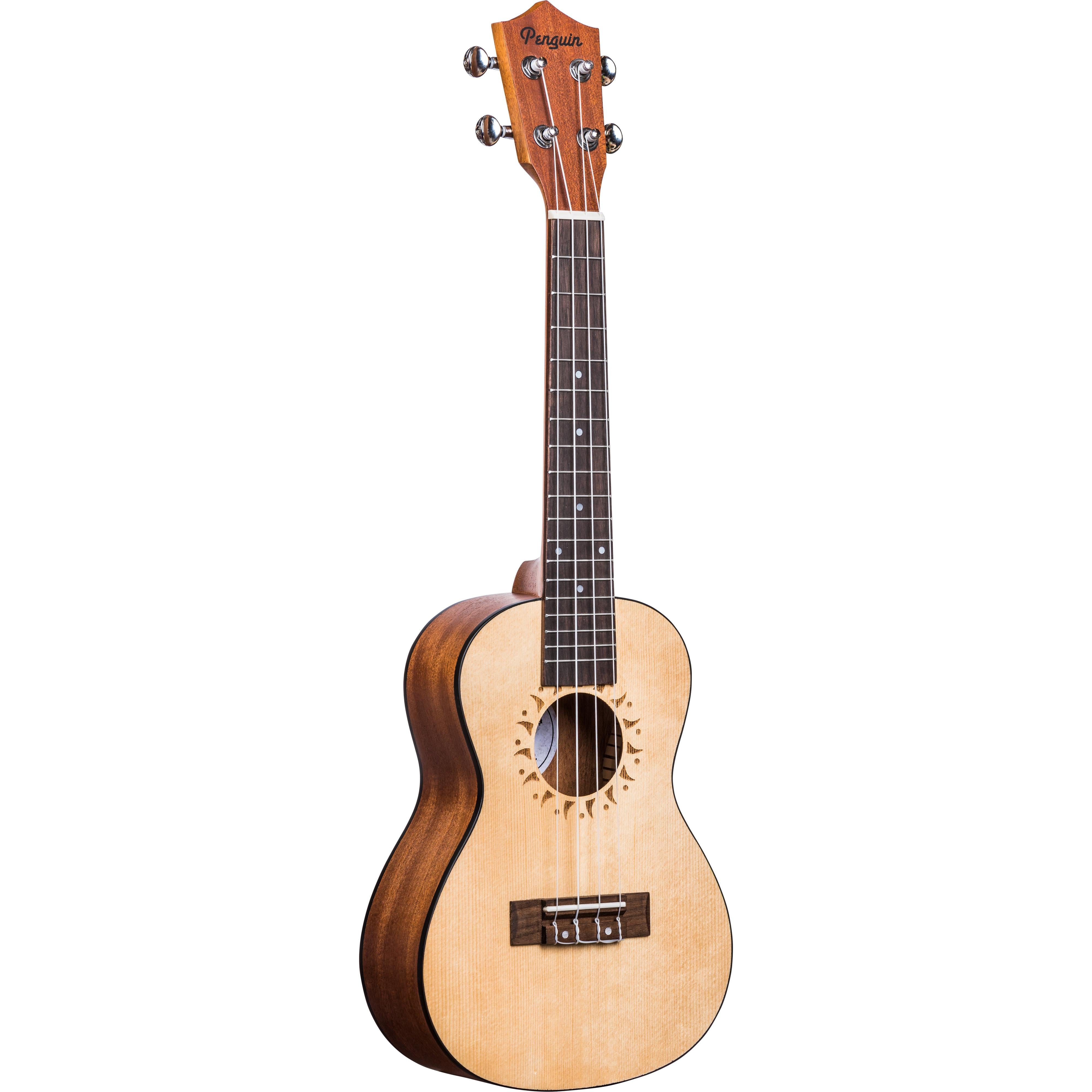 Hot Deal! Amahi UK225C Concert Ukulele in Spruce for Penguin Classic Lovers with Gig Bag