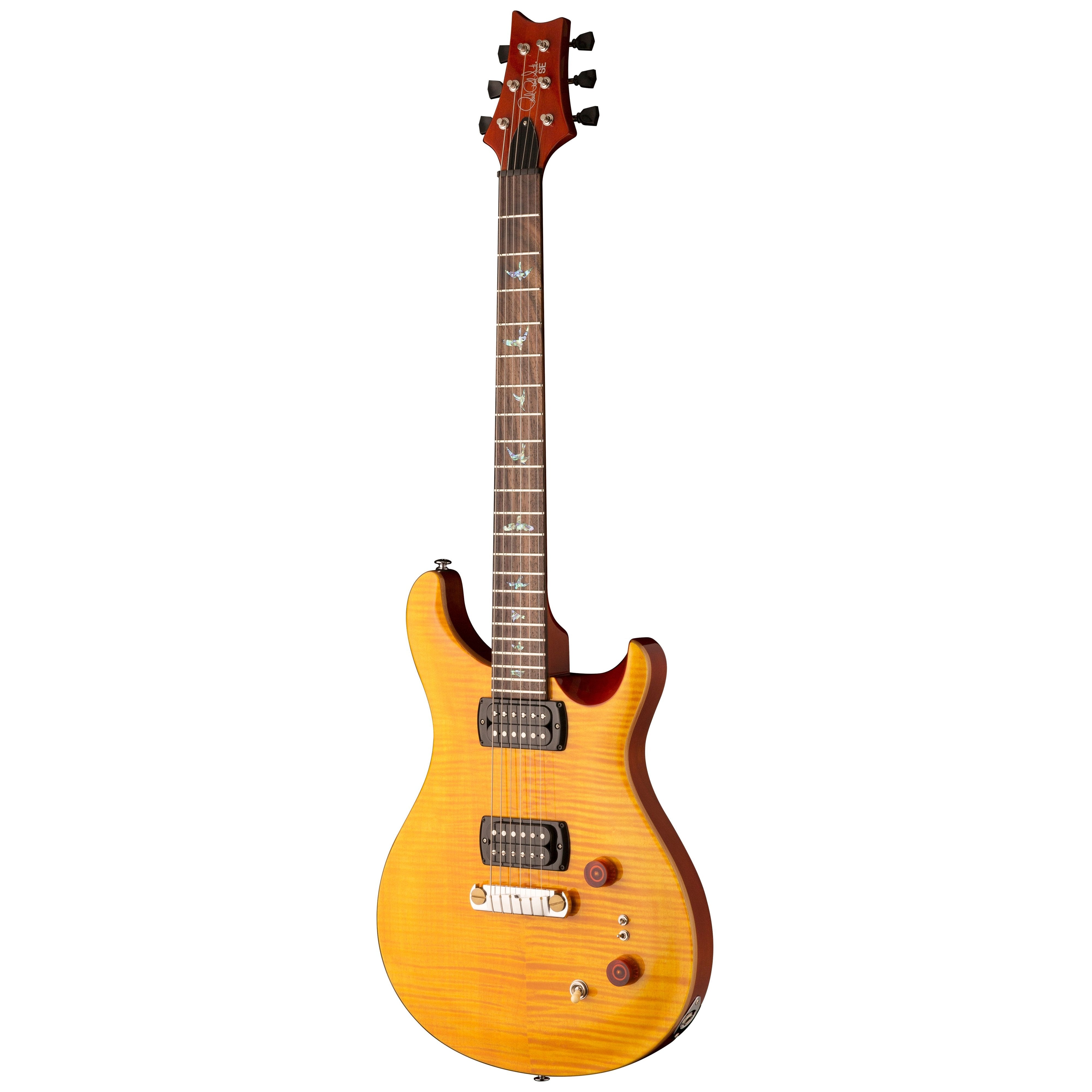 Hot Deal: Paul Reed Smith PG-AB SE Electric Guitar with Gig Bag in Amber Tobacco Back
