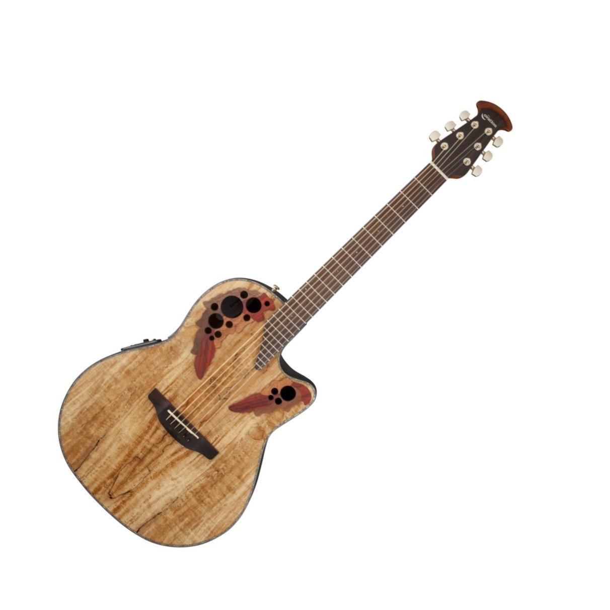 Hot Deal! Ovation CE44P-SM Celebrity Elite Plus Spalted Maple Acoustic/Electric Guitar