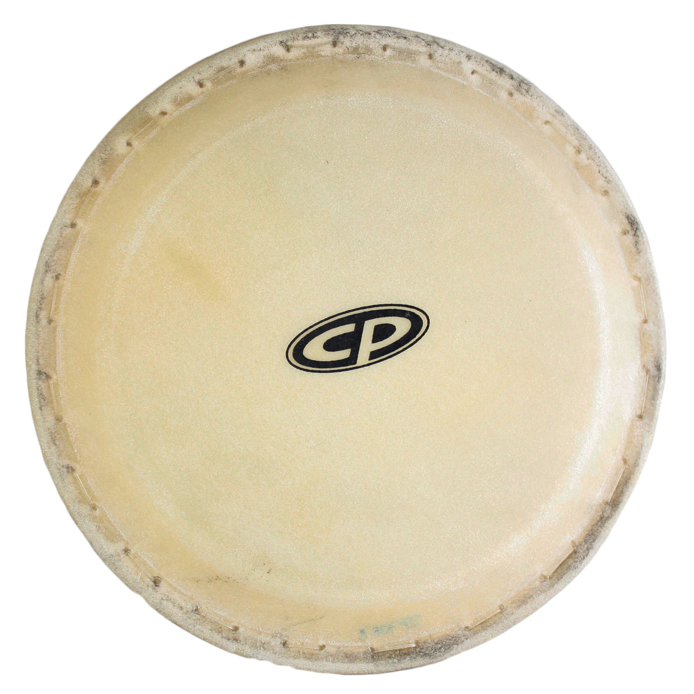 Latin Percussion Authentic 10-Inch CP636B Conga Head